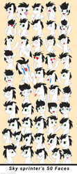 Size: 1527x3453 | Tagged: safe, artist:nanazdina, imported from derpibooru, oc, oc:skysprinter, pony, expressions