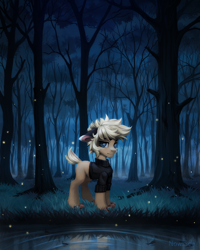 Size: 2000x2500 | Tagged: safe, artist:inowiseei, imported from derpibooru, oc, oc only, earth pony, pony, clothes, commission, dark, floppy ears, forest, high res, pond, water