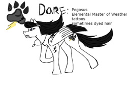 Size: 1000x700 | Tagged: safe, artist:darestorm, imported from derpibooru, oc, oc only, pegasus, pony, jewelry, master, necklace, paw prints, pegasus oc, raised hoof, reference sheet, simple background, solo, white background, wings