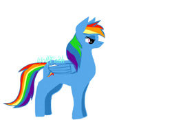 Size: 1000x700 | Tagged: safe, artist:darestorm, imported from derpibooru, rainbow dash, pegasus, pony, female, mare, signature, simple background, solo, white background