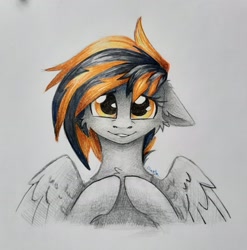 Size: 2757x2788 | Tagged: safe, artist:dark lightning, artist:dorkmark, imported from derpibooru, oc, oc only, oc:mayday, pegasus, pony, commission, confused, looking at you, photo, solo, traditional art