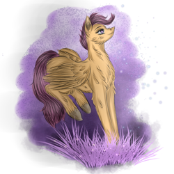 Size: 768x768 | Tagged: safe, artist:runatfox, imported from derpibooru, scootaloo, pegasus, pony
