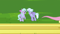 Size: 600x338 | Tagged: safe, imported from derpibooru, screencap, cloudchaser, flitter, fluttershy, pegasus, pony, hurricane fluttershy, season 2, animated, female, gif, laughing, laughingmares.jpg
