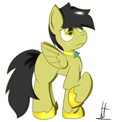 Size: 1354x1366 | Tagged: safe, artist:almaustral, imported from derpibooru, oc, oc only, pegasus, pony, hoof shoes, pegasus oc, raised hoof, signature, simple background, solo, white background, wings