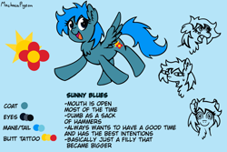Size: 1200x800 | Tagged: safe, artist:machacapigeon, oc, oc only, oc:sunny blues, pegasus, pony, chest fluff, female, looking at you, open mouth, signature, simple background, solo, text