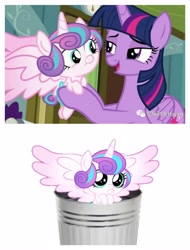 Size: 3106x4096 | Tagged: safe, edit, edited screencap, imported from derpibooru, screencap, princess flurry heart, twilight sparkle, alicorn, pony, abuse, baby, baby pony, female, flurrybuse, mare, op is a duck, op is trying to start shit, trash can, twilight sparkle (alicorn)