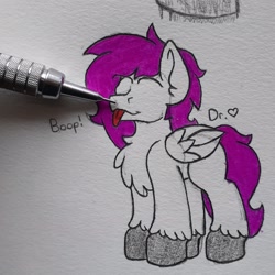 Size: 2296x2296 | Tagged: safe, artist:drheartdoodles, imported from derpibooru, oc, oc only, oc:dr.heart, clydesdale, pegasus, :p, ^3^, boop, chest fluff, color, cute, smiling, tongue out, traditional art