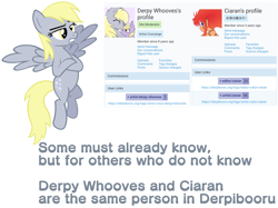 Size: 3940x2950 | Tagged: safe, derpy hooves, oc, oc:ciaran, oc:derpy whooves, pegasus, pony, derpibooru, dialogue, meta