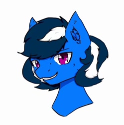 Size: 840x842 | Tagged: safe, artist:sunsetmark, imported from derpibooru, oc, oc only, oc:sunsetmark, bat pony, pony, smiling