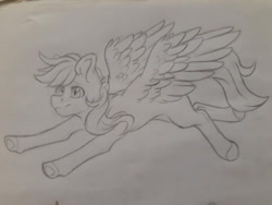 Size: 960x720 | Tagged: safe, artist:silentwolf-oficial, imported from derpibooru, oc, oc only, pegasus, pony, flying, lineart, pegasus oc, solo, traditional art, wings