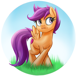 Size: 942x942 | Tagged: safe, artist:ikarooz, imported from derpibooru, scootaloo, pegasus, pony, chest fluff, circle background, crossed legs, cute, cutealoo, female, filly, frown, grass, looking back, older, older scootaloo, simple background, solo, spread wings, the cmc's cutie marks, transparent background, wings