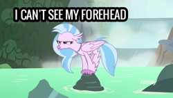 Size: 1920x1080 | Tagged: source needed, safe, edit, edited screencap, imported from derpibooru, screencap, silverstream, what lies beneath, i can't see my forehead, patty hype, spongebob reference, spongebob squarepants, unamused