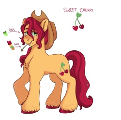 Size: 1280x1269 | Tagged: safe, artist:etchnsketches, imported from derpibooru, oc, oc only, oc:sweet cherry, earth pony, pony, cowboy hat, hat, magical lesbian spawn, male, offspring, parent:applejack, parent:cherry jubilee, parents:cherryjack, simple background, solo, stallion, stetson, straw in mouth, white background