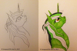 Size: 2448x1632 | Tagged: safe, artist:stargazerseven, imported from derpibooru, clover the clever, pony, unicorn, bust, duo, female, lineart, looking up, mare, monochrome, traditional art