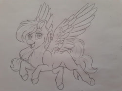 Size: 1440x1072 | Tagged: safe, artist:silentwolf-oficial, imported from derpibooru, oc, oc only, pegasus, pony, grayscale, lineart, monochrome, open mouth, pegasus oc, smiling, solo, traditional art, wings