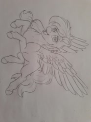 Size: 1072x1440 | Tagged: safe, artist:silentwolf-oficial, imported from derpibooru, oc, oc only, pegasus, pony, grayscale, lineart, monochrome, open mouth, pegasus oc, smiling, solo, traditional art, wings