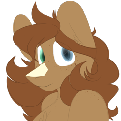 Size: 900x900 | Tagged: safe, artist:orion, imported from derpibooru, oc, oc only, oc:orion tempest, pegasus, pony, brown mane, chest fluff, ear fluff, freckles, heterochromia, long hair, shoulder freckles, simple background, solo, transparent background