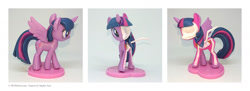 Size: 2000x730 | Tagged: safe, imported from derpibooru, twilight sparkle, pony, dissectibles, figure, freeny's hidden dissectibles, merchandise, organs, photo, solo