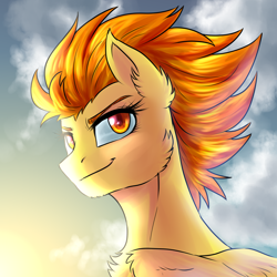 Size: 1920x1920 | Tagged: safe, artist:not-ordinary-pony, derpibooru exclusive, imported from derpibooru, spitfire, pegasus, pony, bust, cheek fluff, chest fluff, cloud, confident, ear fluff, female, looking back, mare, orange eyes, orange mane, portrait, sky, smiling, solo, solo female, tomboy, yellow fur