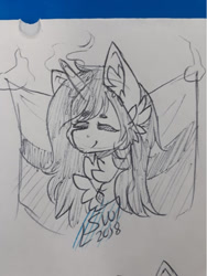 Size: 721x960 | Tagged: safe, artist:silentwolf-oficial, imported from derpibooru, oc, oc only, pony, unicorn, bust, chest fluff, ear fluff, eyes closed, horn, jewelry, lineart, necklace, signature, smiling, traditional art, unicorn oc