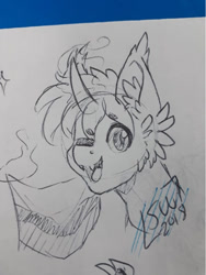 Size: 721x960 | Tagged: safe, artist:silentwolf-oficial, imported from derpibooru, oc, oc only, pony, bust, ear fluff, flag, grayscale, lineart, monochrome, one eye closed, signature, solo, traditional art, wink