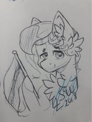 Size: 721x960 | Tagged: safe, artist:silentwolf-oficial, imported from derpibooru, oc, oc only, earth pony, pony, bust, chest fluff, ear fluff, earth pony oc, grayscale, lineart, monochrome, signature, solo, traditional art