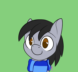 Size: 720x665 | Tagged: safe, artist:inkynotebook, imported from derpibooru, part of a set, oc, oc only, oc:funny sun, earth pony, pony, bust, clothes, commission, earth pony oc, green background, scarf, simple background, smiling, solo, ych result