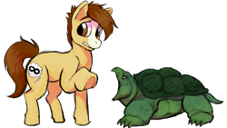 Size: 844x475 | Tagged: safe, artist:plaguetyranno, artist:silent-e, imported from derpibooru, oc, oc:bug-zapper, earth pony, pony, turtle, male, snapping turtle, stallion, story in the source