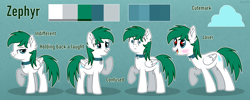 Size: 2800x1120 | Tagged: safe, artist:keyrijgg, imported from derpibooru, oc, oc only, oc:zephyr, pegasus, pony, art, auction, bell, bell collar, choker, collar, color palette, comissions, commission, green background, heart eyes, reference, reference sheet, simple background, uch, wingding eyes, your character here