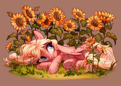 Size: 4093x2894 | Tagged: safe, artist:shore2020, imported from derpibooru, oc, oc only, oc:caramel pop, pegasus, pony, female, flower, freckles, lying down, mare, smiling, solo, sunflower, underhoof