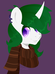 Size: 1600x2127 | Tagged: safe, artist:timser_, imported from derpibooru, oc, oc only, oc:zenith night, pony, unicorn, clothes, ear piercing, earring, jewelry, male, piercing, scarf, solo, stallion