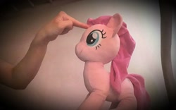 Size: 2948x1836 | Tagged: safe, artist:count adramélekh sear, artist:count oxymagomedov sear, imported from derpibooru, pinkie pie, human, pony, forehead poke, irl, offscreen character, photo, plushie