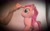 Size: 2948x1836 | Tagged: safe, artist:count adramélekh sear, artist:count oxymagomedov sear, imported from derpibooru, pinkie pie, human, pony, forehead poke, irl, offscreen character, photo, plushie