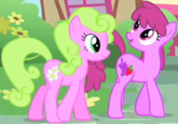 Size: 340x236 | Tagged: safe, imported from derpibooru, screencap, berry punch, berryshine, daisy, flower wishes, earth pony, pony, party of one, cropped, female, mare