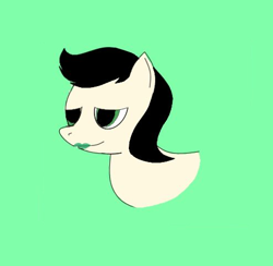 Size: 494x482 | Tagged: safe, artist:lunarcaptain, imported from derpibooru, oc, oc only, oc:kathy, oc:keith, pony, bust, female, mare, portrait, rule 63, solo