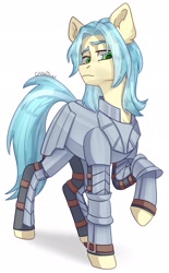 Size: 1270x2048 | Tagged: safe, artist:chibadeer, imported from derpibooru, oc, oc only, earth pony, pony, armor, solo