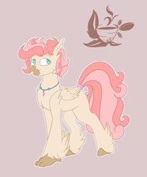 Size: 2548x3061 | Tagged: safe, artist:ponyangle, imported from derpibooru, oc, oc only, oc:shiny shell, hippogriff, curly hair, male, simple background, solo