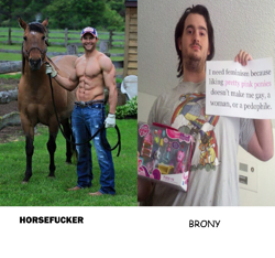 Size: 1073x1005 | Tagged: safe, horse, human, brony, comparison, feminism, horsefucker, irl, irl horse, irl human, know the difference, meme, meta, muscles, photo