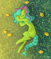 Size: 2536x2941 | Tagged: safe, artist:lovely-pony, imported from derpibooru, oc, oc only, oc:emerald joy, earth pony, pony, bowtie, female, food, grass, lemon, lying, mango, mare, pigtails, signature, sleeping, solo