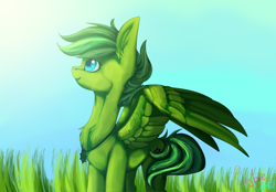 Size: 4320x3000 | Tagged: safe, artist:plushielover, imported from derpibooru, oc, oc only, oc:evergreen feathersong, pegasus, pony, commission, day, grass, looking up, pegasus oc, solo, sunlight, wings, ych result