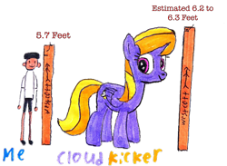 Size: 3264x2386 | Tagged: safe, artist:topsangtheman, imported from derpibooru, cloud kicker, human, pegasus, pony, giant pegasus, giant pony, looking at you, macro, ruler, simple background, traditional art, transparent background