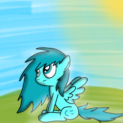 Size: 1080x1080 | Tagged: safe, artist:crossovercartoons, imported from derpibooru, oc, oc only, oc:random shine, pegasus, pony, artwork, black outlines, cute, digital art, drawing, grass, grass field, looking up, sky, solo, sun