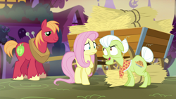 Size: 1920x1080 | Tagged: safe, imported from derpibooru, screencap, big macintosh, fluttershy, granny smith, earth pony, pegasus, pony, scare master, female, hay, male, mare, stallion