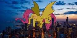 Size: 2200x1100 | Tagged: safe, artist:cloudy glow, artist:cloudyglow, artist:theotterpony, edit, imported from derpibooru, vector edit, fluttershy, bat pony, pony, bat ponified, butt, chicago, city, cutie mark, female, flutterbat, flying, giant pony, high res, illinois, irl, macro, photo, plot, ponies in real life, race swap, solo, story in the source, story included, vector