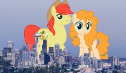 Size: 2600x1500 | Tagged: safe, artist:ganapathy kumar, artist:jhayarr23, artist:theotterpony, edit, imported from derpibooru, vector edit, bright mac, pear butter, earth pony, pony, city, cowboy hat, duo, female, freckles, giant earth pony, giant ponies in real life, giant pony, hat, highrise ponies, husband and wife, irl, macro, male, photo, ponies in real life, seattle, stetson, story in the source, story included, vector