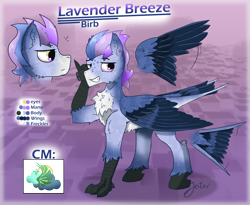 Size: 2853x2344 | Tagged: safe, artist:jesterpi, imported from derpibooru, oc, oc:lavender breeze, bird, pegasus, abstract background, chest fluff, cutie mark, disembodied head, pegasus oc, phone, redesign, reference sheet, smiling, standing, talons, wings