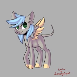 Size: 1024x1024 | Tagged: safe, artist:helemaranth, imported from derpibooru, oc, oc only, pegasus, pony, base used, colored hooves, ear fluff, gray background, leonine tail, pegasus oc, signature, simple background, solo, two toned wings, wings