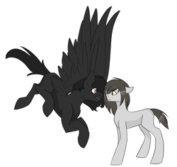 Size: 2528x2372 | Tagged: safe, artist:toptian, imported from derpibooru, oc, oc only, earth pony, pegasus, pony, duo, earth pony oc, flying, looking at each other, pegasus oc, simple background, white background, wings