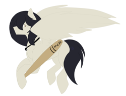 Size: 2201x1689 | Tagged: safe, artist:toptian, imported from derpibooru, oc, oc only, pegasus, pony, baseball bat, hoof hold, jewelry, necklace, pegasus oc, solo, wings