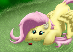 Size: 3484x2488 | Tagged: safe, artist:thebenalpha, imported from derpibooru, fluttershy, insect, ladybug, pegasus, pony, grass, smiling, solo, wings